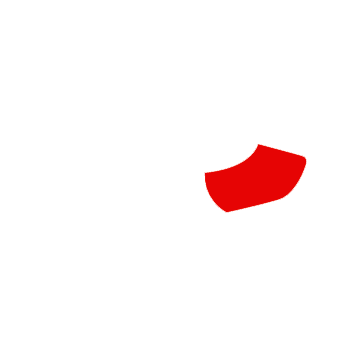 Dog Bites