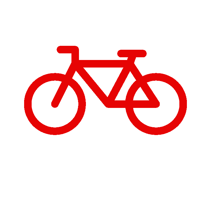 Pedestrian or Bicycle Accidents